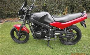 Suzuki GS 500 E