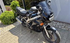 Suzuki GS 500 E