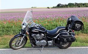 Kawasaki VN 900 Custom